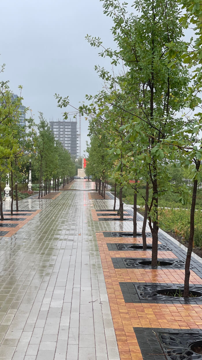 Приствольная решетка для дерева ZKING CRUST 1.2х1.2м Черная в Новочебоксарске фото