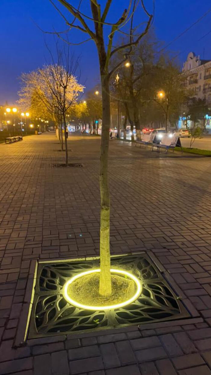 Приствольная решетка для дерева ZKING CRUST 1.2х1.2м Черная в Новочебоксарске фото